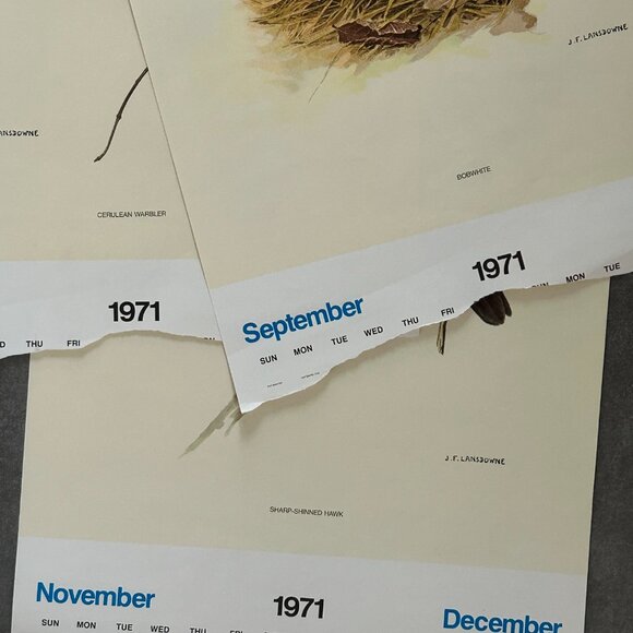 Vintage 1971 & 1972 Calendar Prints J.F. Lansdowne Birds - Picture 2 of 10
